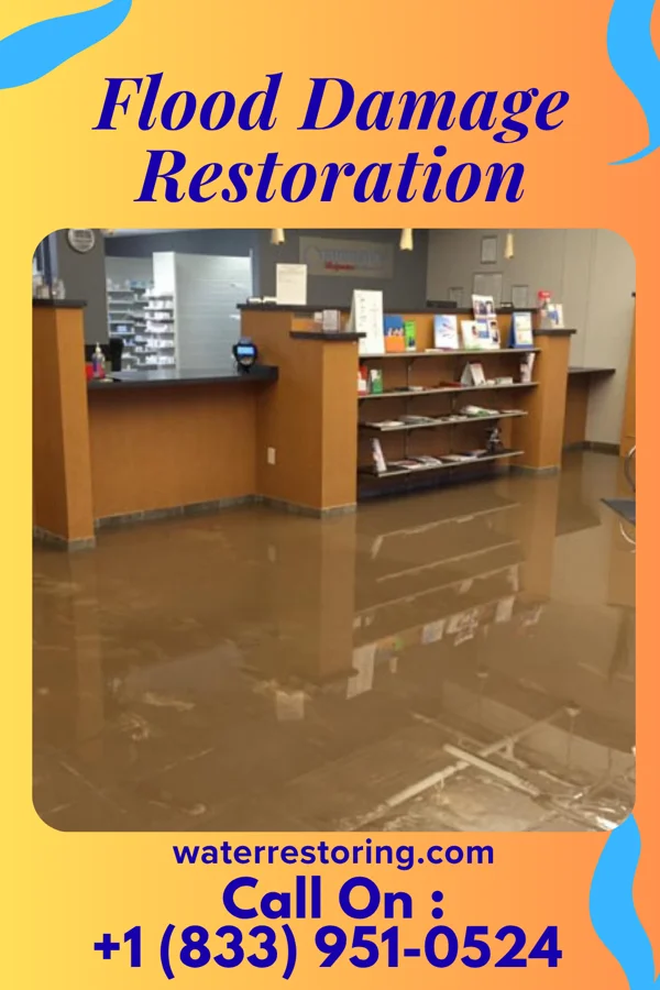 Flood Damage Restoration in Willoughby Hills, OH