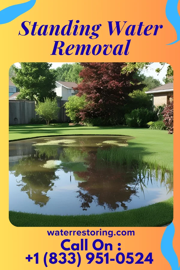 Standing Water Removal in Willoughby Hills, OH